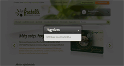 Desktop Screenshot of duefratelli.hu